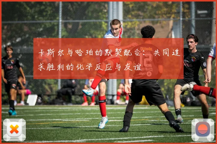 卡斯尔与哈珀的默契配合：共同追求胜利的化学反应与友谊