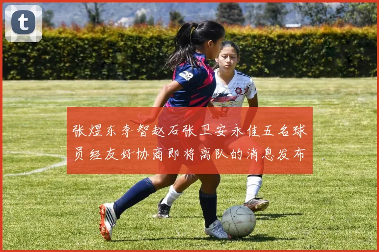 张煜东李智赵石张卫安永佳五名球员经友好协商即将离队的消息发布