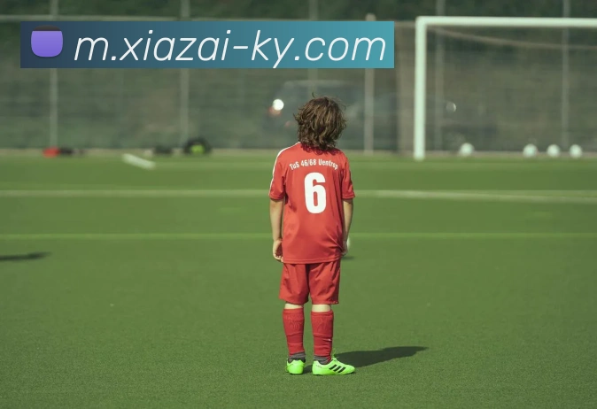 App Interface Preview