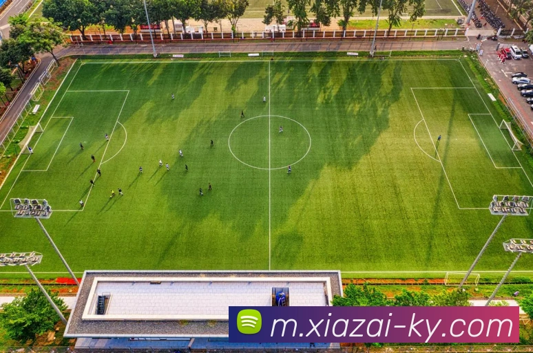 开云体育APP 封面图